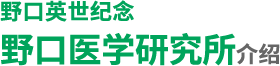 野口英世纪念 野口医学研究所介绍