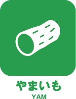 やまいも
