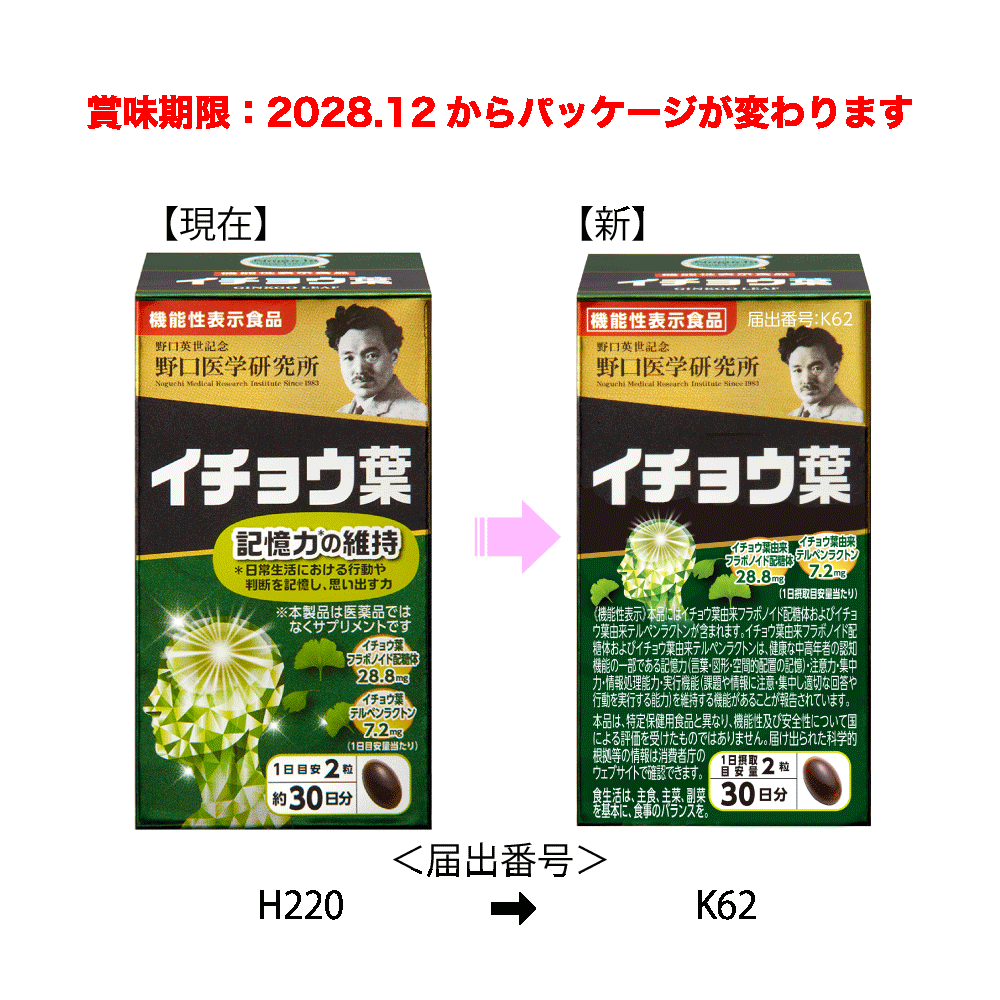 イチョウ葉 画像5